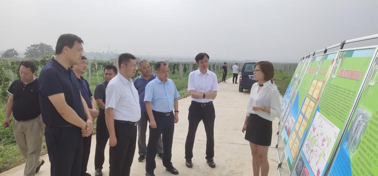 011614584243655097.jpeg 1.jpg