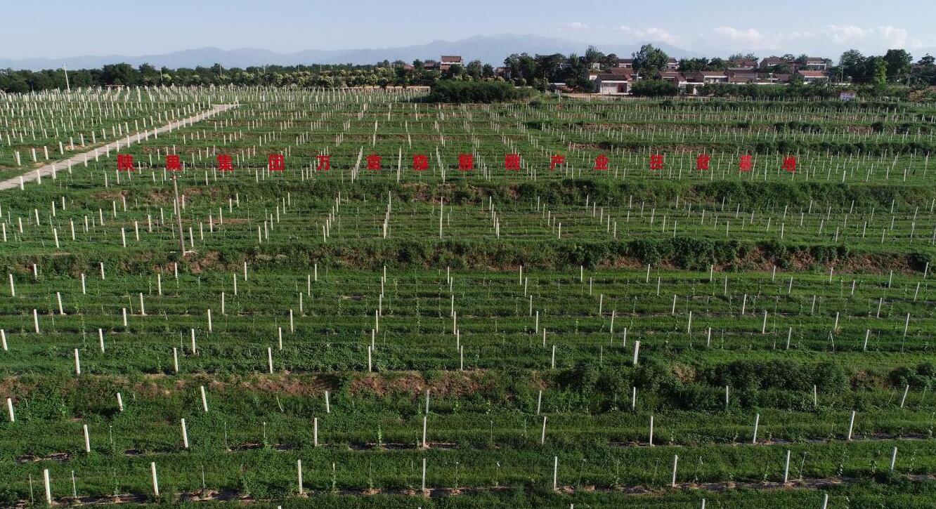 011614586129109849.jpeg G%(KKQ~%3ZPY79VINJ_}0OX.jpg